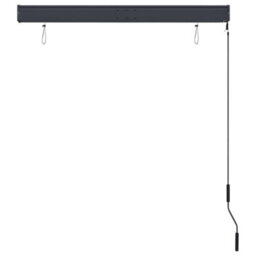 Berkfield Harmful Outdoor Roller Blind 120X250 Cm Blue And White - thumbnail 5