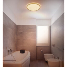 Luminosa Lighting Luminosa Sapana 30Cm Round Flush Ceiling Light Brass-Coloured Matt Ip44 Led 3000K - thumbnail 5