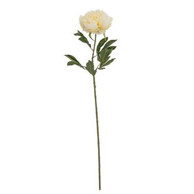 Wyld Haus Set Of 3 Large Buttermilk Double Peony Stems Artificial Flowers - image 1