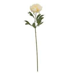 Wyld Haus Set Of 3 Large Buttermilk Double Peony Stems Artificial Flowers - thumbnail 1