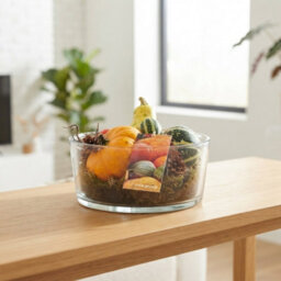 Sacramento Decorative Arrangement In Glass Bowl - 20Cm - thumbnail 2