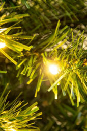 Christmas Tree World The 3Ft/90Cm Pre-Lit Majestic Dew Pine Potted Tree (Outdoor) - thumbnail 8