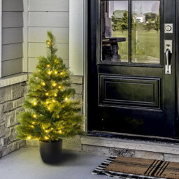 Christmas Tree World The 3Ft/90Cm Pre-Lit Majestic Dew Pine Potted Tree (Outdoor) - thumbnail 2
