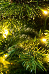 Christmas Tree World The 3Ft/90Cm Pre-Lit Majestic Dew Pine Potted Tree (Outdoor) - thumbnail 6