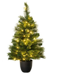 Christmas Tree World The 3Ft/90Cm Pre-Lit Majestic Dew Pine Potted Tree (Outdoor) - thumbnail 5