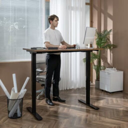 Flexispot Classic Height Adjustable Desk Series Frame E5 In Black - thumbnail 2