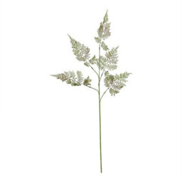 The  Natural  Garden  Collection  Large  Bracken  Fern  Spray - thumbnail 1