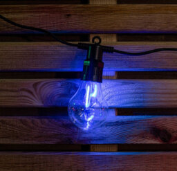 Samuel Alexander Set Of 20 Indoor Outdoor Connectable Festoon Lights With Multi Coloured Leds - thumbnail 7