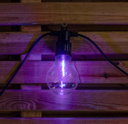 Samuel Alexander Set Of 20 Indoor Outdoor Connectable Festoon Lights With Multi Coloured Leds - thumbnail 5