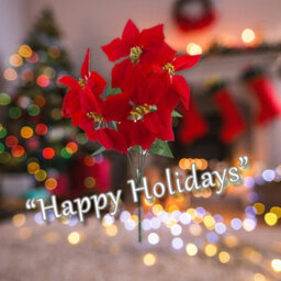 5 Head Poinsettia Bunch Christmas Decoration X 1 48Cm Red, Green - thumbnail 4
