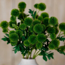 Wyld Haus Set Of 3 Green Globe Thistle Artificial Flower Sprays 560mm - thumbnail 5