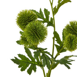 Wyld Haus Set Of 3 Green Globe Thistle Artificial Flower Sprays 560mm - thumbnail 2