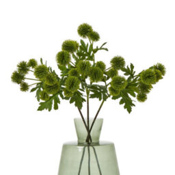Wyld Haus Set Of 3 Green Globe Thistle Artificial Flower Sprays 560mm - thumbnail 3