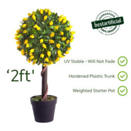 Best Artificial 2Ft / 60Cm Yellow Tulip Ball Tree Plant Garden Office Conservatory Tropical Indoor Outdoor - thumbnail 3