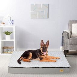Bingopaw 120X90X10Cm 2Xl Memory Foam Platform Dog Bed Orthopedic Pet Bed Mattress Kennel Crate Pad - thumbnail 6