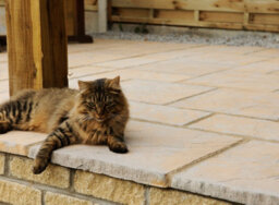 Chalice Paving 450 X 450 X 32 Honey Brown - Full Pallet Of 60 - Bowland Stone - thumbnail 3
