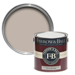 Farrow & Ball Exterior Masonry Mixed Colour Paint 229 Elephant's Breath 5 - thumbnail 2
