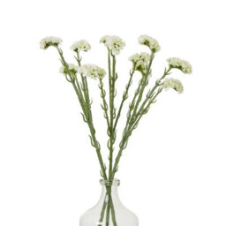 Wyld Haus Set Of 3 Cream Statice Artificial Flowers - 640mm Faux Statice Sprays For Home Decor - thumbnail 3