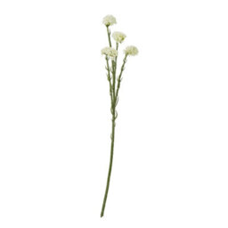 Wyld Haus Set Of 3 Cream Statice Artificial Flowers - 640mm Faux Statice Sprays For Home Decor