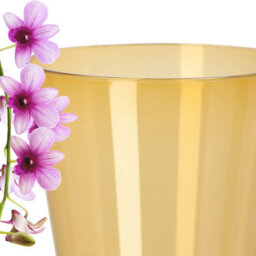 B2C Plant Orchid Pot Plastic  Gloss Oval Planter 12 Cm Honey Round - thumbnail 4