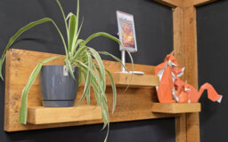 Garden Troughs and Planters Rustic Reclaimed Wall Mounted Scaffold Board With 3 Shelves - thumbnail 2