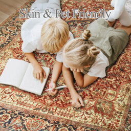 Ameha Nonslip Majestic Cashmere Rug Vintage Classic Modern Rug Living Room Bedroom Carpet 200X290 Cm - thumbnail 4