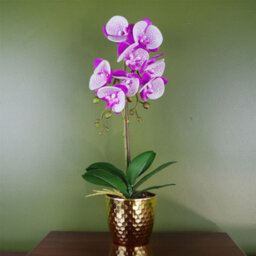Leaf 50Cm Phalaenopsis Orchid Artificial Purple And White Gold Pot