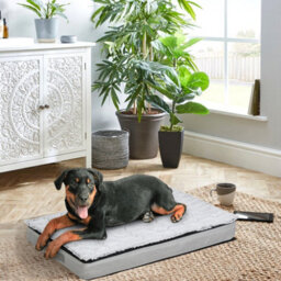Bingopaw 80X50X8Cm Orthopedic Dog Bed Pet Bed Mattress With Removable Washable Cover - thumbnail 6