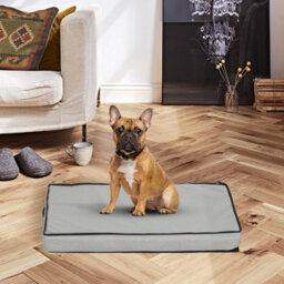 Bingopaw 80X50X8Cm Orthopedic Dog Bed Pet Bed Mattress With Removable Washable Cover - thumbnail 7