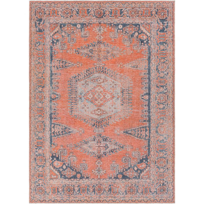 Livabliss Colin-Washable Orange Blue Brown Traditionnal Vintage Boho Living Dining Rug 120 X 170 Cm Easy Care, Non Shedding - image 1