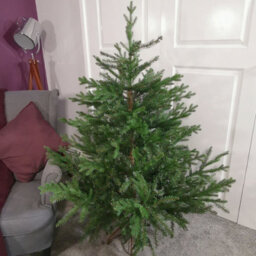 Samuel Alexander 5Ft (153Cm) Premier Christmas Tree  Glenshee Spruce Peorpvc Natural Look - thumbnail 4
