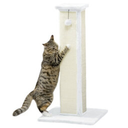 Pawhut Cat Scratching Post With Vertical Sisal Rope Ball Plush, 81Cm, White - thumbnail 2