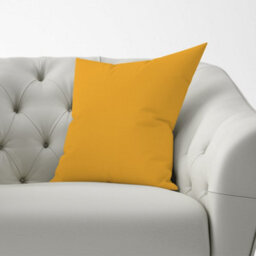 Warren Reed Designer Cantaloupe Orange Cushions 60Cm X 60Cm - thumbnail 2