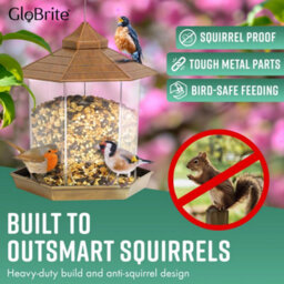 Globrite Hexagon Bird Feeder - Bronze - Hanging Seed Feeder For Wild Birds - Decorative Outdoor Garden Ornament - thumbnail 3