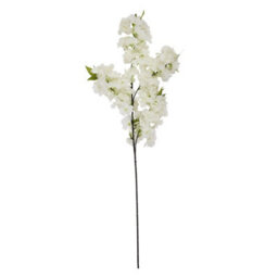 Wyld Haus Set Of 3 Large White Artificial Flower Stems Cascading Silk Blooms