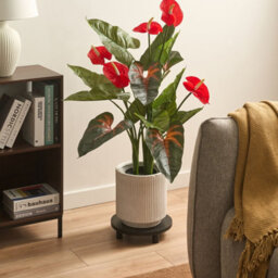 Wyld And Coco Greenleaf Anthurium Artificial Potted Plant 95Cm With Cement Pot, Lifelike Greenery - thumbnail 2