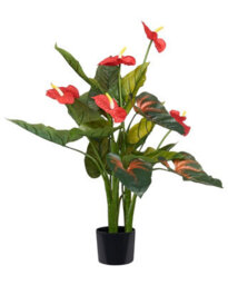 Wyld And Coco Greenleaf Anthurium Artificial Potted Plant 95Cm With Cement Pot, Lifelike Greenery - thumbnail 1