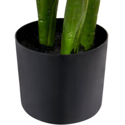 Wyld And Coco Greenleaf Anthurium Artificial Potted Plant 95Cm With Cement Pot, Lifelike Greenery - thumbnail 5