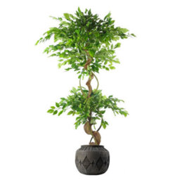 Leaf 26Cm X 36Cm Large Grey Gliese Diamond Planter - thumbnail 3