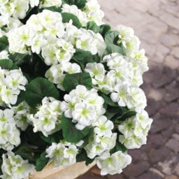10 Artificial Geraniums And Begonias, Artificial Flowers For Decoration, Artificial Decorative Flowers, White, 35 Cm - thumbnail 8