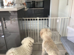 Bettacare Extra Wide Hallway Dog Gate, 109Cm - 115Cm, White, Pressure Fit Pet Gate, Puppy Safety Barrier - thumbnail 6