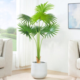 MCC Direct Artificial Plant Fan Palm Tree Indoor House Plant 120 Cm - thumbnail 1