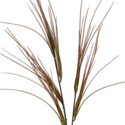 Hill Interiors Brome Grass Spray Artificial Flower - Plastic - L22 X W15 X H104 Cm - Green - thumbnail 2