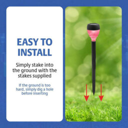 Gainsborough Set Of 12 Multicolour Solar Stake Lights, Stainless Steel Garden Path Lights 8 Hour Illumination - thumbnail 5