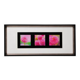 Orsina Pink Floral Colour Glass Triple Wall Art