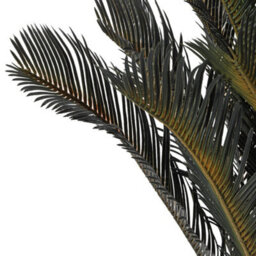 Thehotsale 113Cm Leaf Large Artificial Cycas Tree In Black Pot For Decoration For Home Office - thumbnail 5
