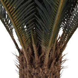 Thehotsale 113Cm Leaf Large Artificial Cycas Tree In Black Pot For Decoration For Home Office - thumbnail 6