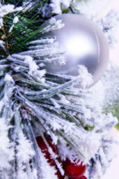 Christmas Tree World 50Cm Flocked Decorated Mixed Pine Wreath With Tartan Bows - thumbnail 8