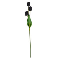 Wyld Haus Set Of 3 Black Tulip Artificial Flower Stems 1050mm