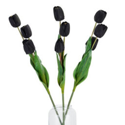 Wyld Haus Set Of 3 Black Tulip Artificial Flower Stems 1050mm - thumbnail 2